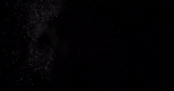 Particule Dust Cloud Izolat fundal negru . — Videoclip de stoc
