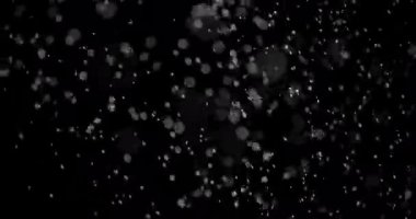 Parçacıklar Toz Bulut Izole Siyah Arka Plan.