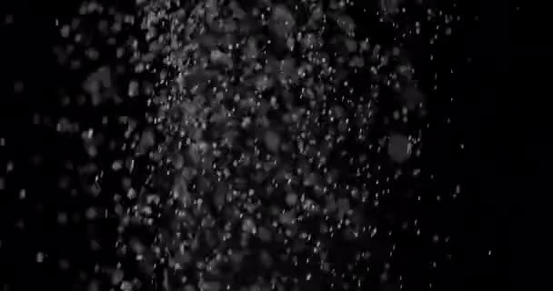 Partikel Staubwolke isoliert schwarzen Hintergrund. — Stockvideo