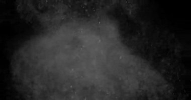 Parçacıklar Toz Bulut Izole Siyah Arka Plan.