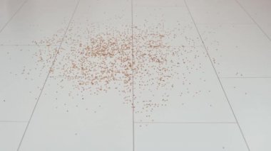 Daireyi elektrik süpürgesi ile temizleme.