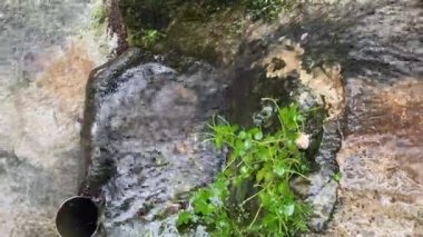 Kayaların üzerinden akan temiz su akıntısı doğa ses manzarası kayaların ve yemyeşil çimlerin üzerinden akan temiz bir akımın rahatlatıcı doğa videosu meditasyon ya da arka plan ambiyansı için mükemmel.