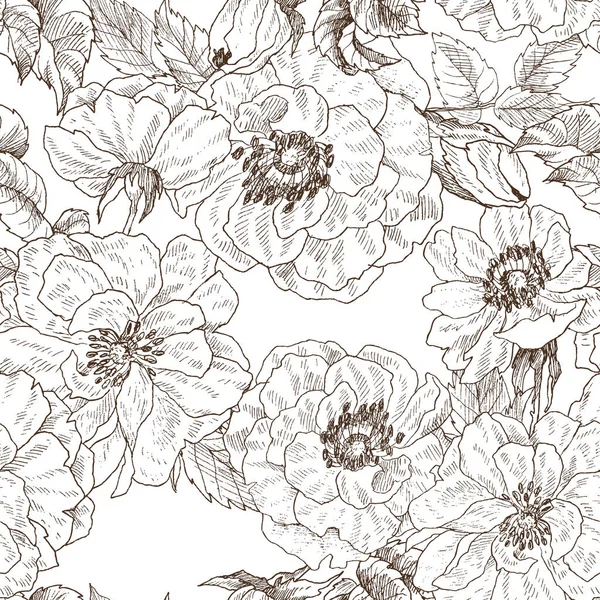 Seamless pattern of wild roses blossom branch isolated on white. Vintage botanical hand drawn illustration. Spring flowers of garden rose, dog rose. Vector design