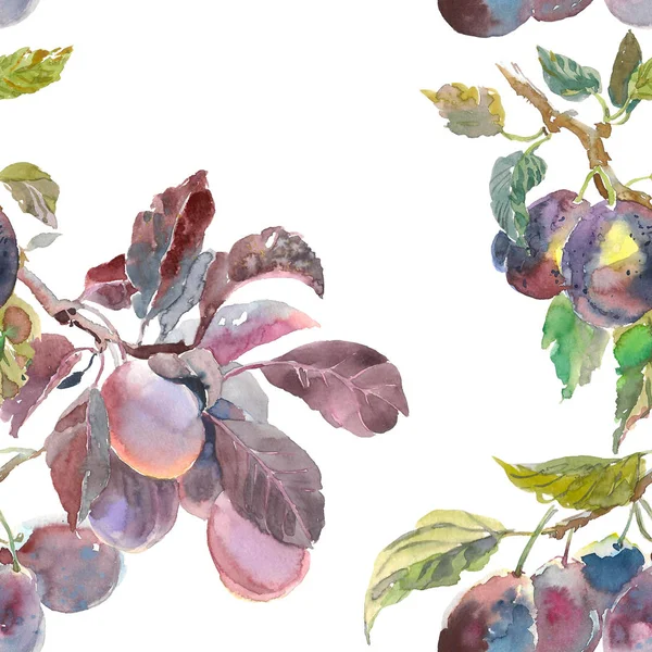 Modèle sans couture de branche de prune fruit aquarelle isolé sur fond blanc. Peinture dessinée à la main. pour votre conception, tissu, paquet — Photo