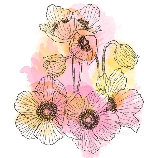 Vintage Anemone Blommor Bröllop Blommor Bunt Kan Använda För Gratulationskort — Stockfoto