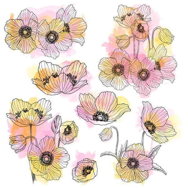 Anemone fiore disegno lineare bouquet set. Pianta selvatica con macchie di acquerello. Illustrazione in stile inciso a base di erbe. Schizzo botanico dettagliato. Concetto di fiore. Concetto botanico . — Foto Stock