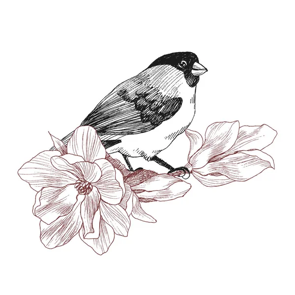 Pájaro dibujado a mano en estilo vintage con magnolia de flores. Pájaro de primavera sentado en ramas en flor. Arte grabado lineal. Concepto Bird. Concepto romántico. Diseño vectorial — Archivo Imágenes Vectoriales