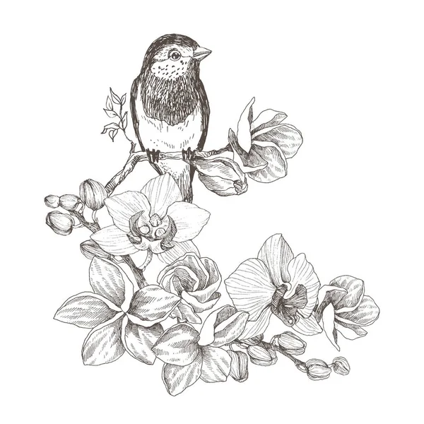 Uccello disegnato a mano in stile vintage con fiori tropicali. Uccello di primavera seduto su rami di fiore di orchidea. Arte lineare incisa. Concetto di uccello. Concetto romantico. Design vettoriale — Vettoriale Stock