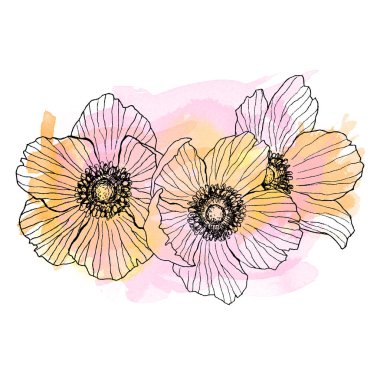 Anemon çiçeği çiçek buketi çizim doğrusal. Suluboya noktalar ile yabani bitki. Bitkisel oyulmuş stil illüstrasyon. Detaylı botanik kroki. Çiçek kavramı. Botanik kavramı.