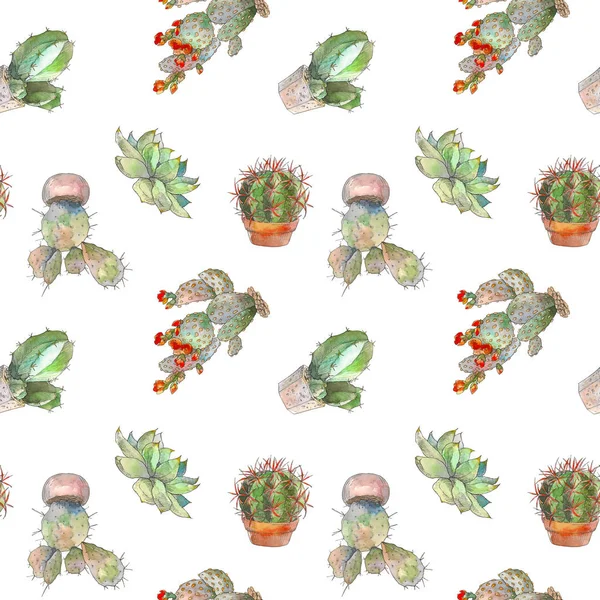 Patrón sin costuras con cactus, suculentas y elementos florales sobre fondo blanco. Ilustración botánica de acuarela vintage para textil, impresión, invitación, fiesta. Concepto tropical . —  Fotos de Stock