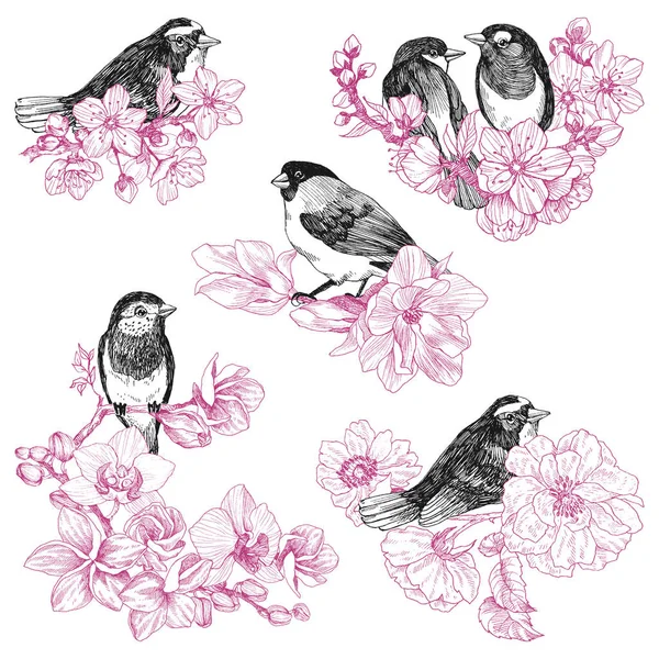 Ensemble d'oiseaux dessinés à la main dans un style vintage avec des fleurs. Oiseau de printemps assis sur des branches fleuries. Art gravé linéaire. Concept d'oiseau. Concept romantique. Conception vectorielle — Image vectorielle