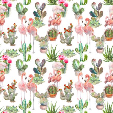 Tropik kuş flamingo, kaktüs, succulents ve beyaz arka plan üzerinde çiçek öğeleri ile Seamless modeli. Vintage suluboya botanik illüstrasyon Tekstil, yazdırma, davet, parti için. Tropikal