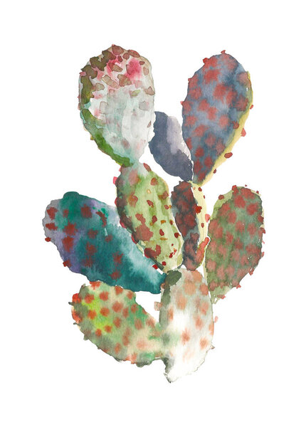 Watercolor hand drawn cactus, succulent isolated on white background. Vintage watercolor botanical illustration for textile, print, invitation, party. Tropical concept.