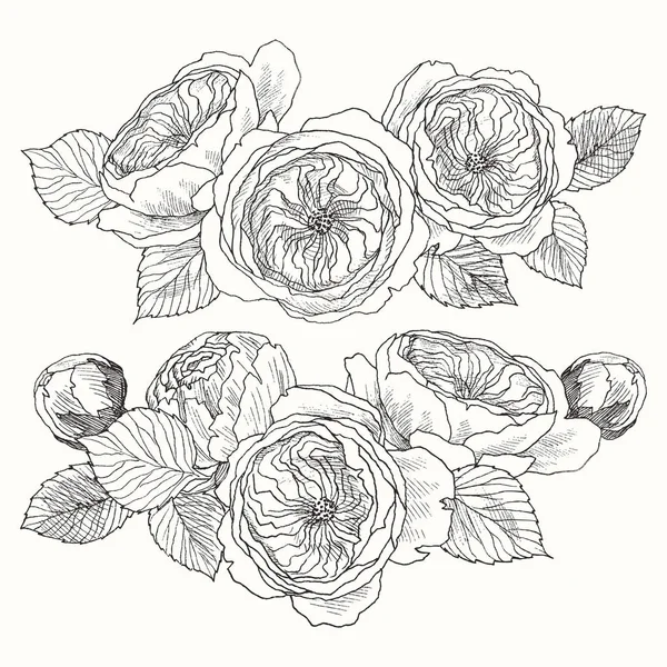Flor florescente. Mão desenhado ramos flor botânica no fundo rosa. Ilustração vetorial. Pode usar para cartões de felicitações, convites de casamento, padrões . —  Vetores de Stock