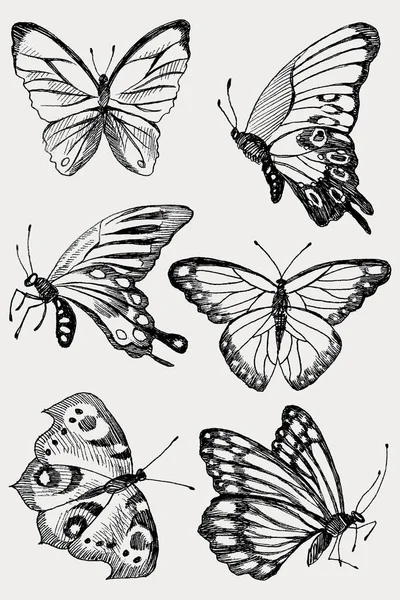 Colección de mariposas de silueta negra dibujada a mano. Ilustración vectorial en estilo vintage . — Vector de stock
