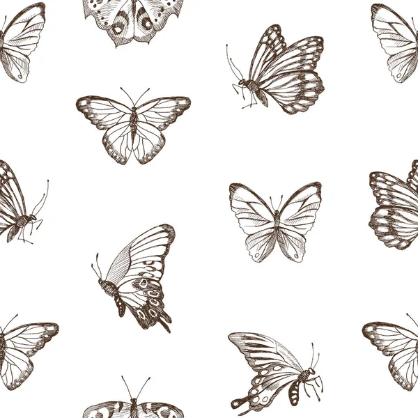 Collection de papillons en silhouette brun dessiné à la main. Illustration vectorielle dans un style vintage. Illustration haute détaillée dessinée à la main. Thème de printemps du papillon. Conception vectorielle — Image vectorielle