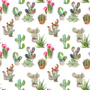 Kaktüs, succulents ve beyaz arka plan üzerinde çiçek öğeleri ile Seamless modeli. Vintage suluboya botanik illüstrasyon Tekstil, yazdırma, davet, parti için. Tropikal kavramı.