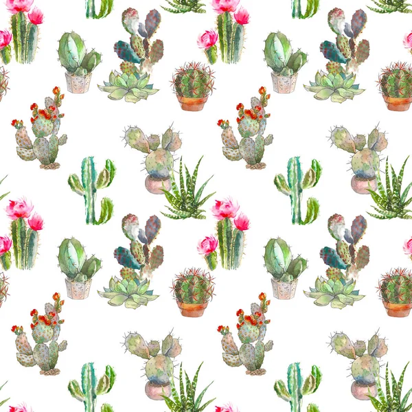 Motif sans couture avec cactus, succulents et éléments floraux sur fond blanc. Illustration botanique aquarelle vintage pour textile, impression, invitation, fête. Concept tropical . — Photo