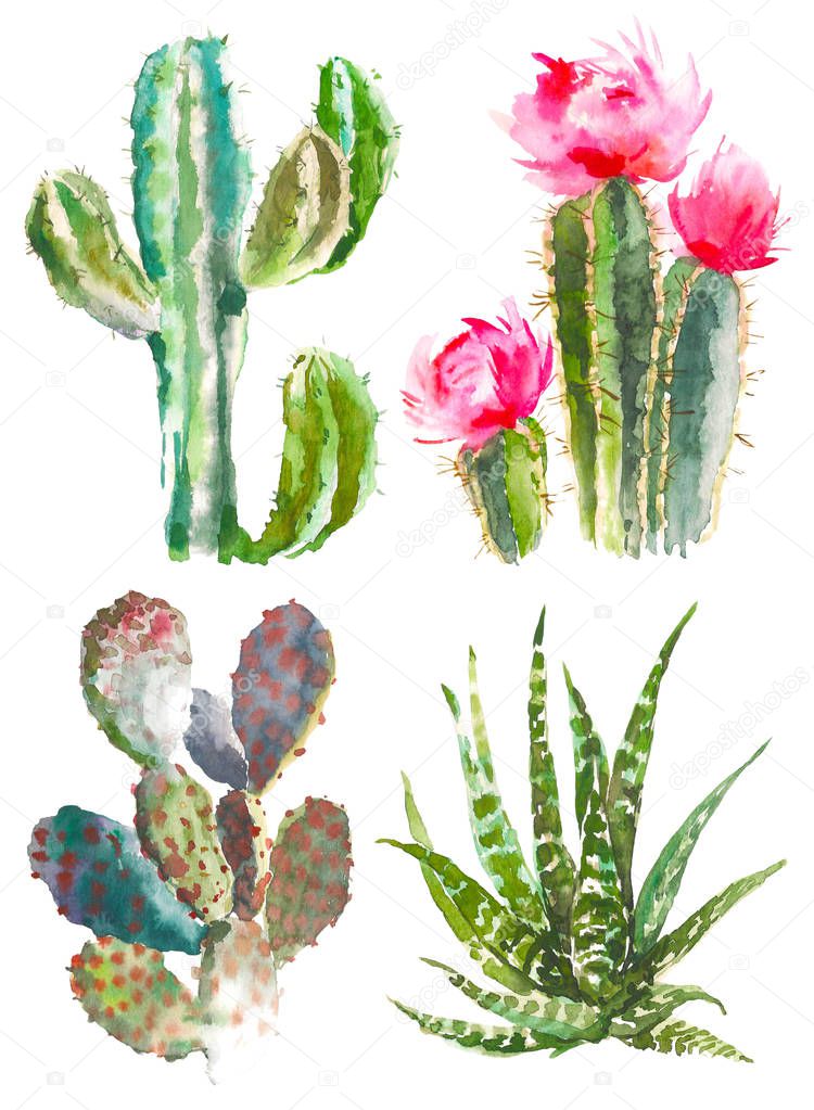 Set of watercolor cactus, succulents and floral elements. Vintage watercolor botanical illustration for textile, print, invitation, party. Tropical concept.