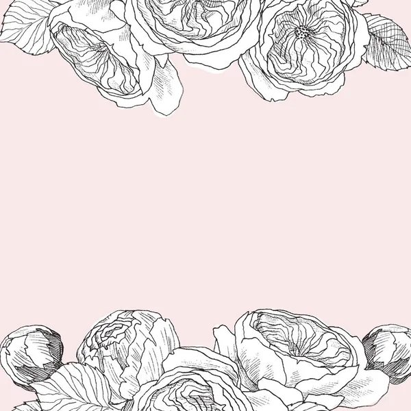 Jardín tierno rosas inglesas marco. Ilustración botánica vintage dibujada a mano. Flores de primavera alrededor del lugar para el texto — Vector de stock