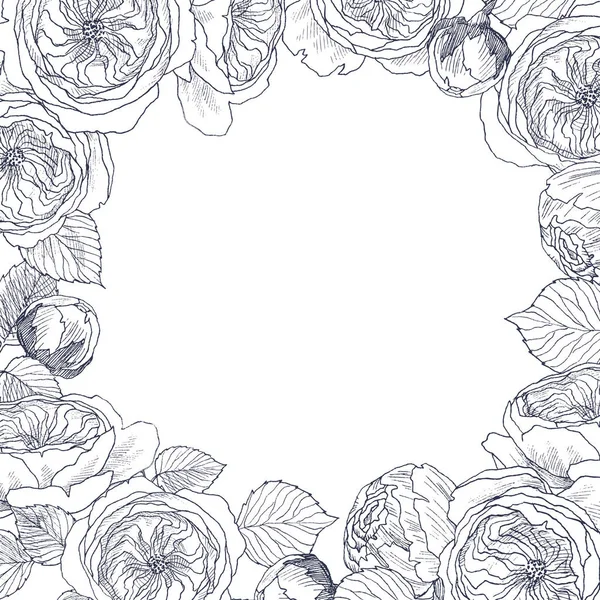 Jardín tierno rosas inglesas marco. Ilustración botánica vintage dibujada a mano. Flores de primavera alrededor del lugar para el texto — Vector de stock