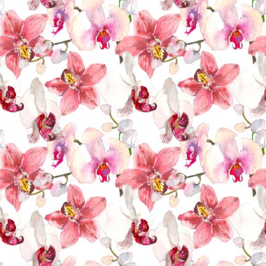 Pembe orkide çiçekler ile tropikal seamless modeli. Beyaz arka plan üzerinde izole tropic çiçek duvar kağıdı. Egzotik tekstil baskı. Suluboya elle çizilmiş illüstrasyon