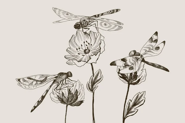 Ensemble de fleurs vectorielles avec libellule dessinée à la main en noir et blanc dans le style croquis. Illustration botanique pour votre design — Image vectorielle