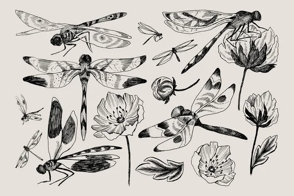 ชุดใหญ่ขององค์ประกอบดอกไม้เวกเตอร์ที่มีสมุนไพรวาดด้วยมือสีดําและขาว, ดอกไม้ป่าและแมลงปอในสไตล์สเก็ตช์ . — ภาพเวกเตอร์สต็อก