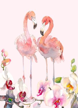 El ihale Orkide şube sınır ve iki flamingo arka plan suluboya çizimi çekilmiş. Hawaii, Tayland, Asya, Florida tropikal Illustration. Tasarımlarınız için.