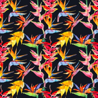 Trendy basit çiçek desenli. Calathea, STERLİÇYA çiçekler. Tropikal orman yazdırma. Arka plan tekrarlayan Tekstil, duvar kağıdı, yüzey, yaz dekorasyon, posterler, davet için. Tropikal kavramı