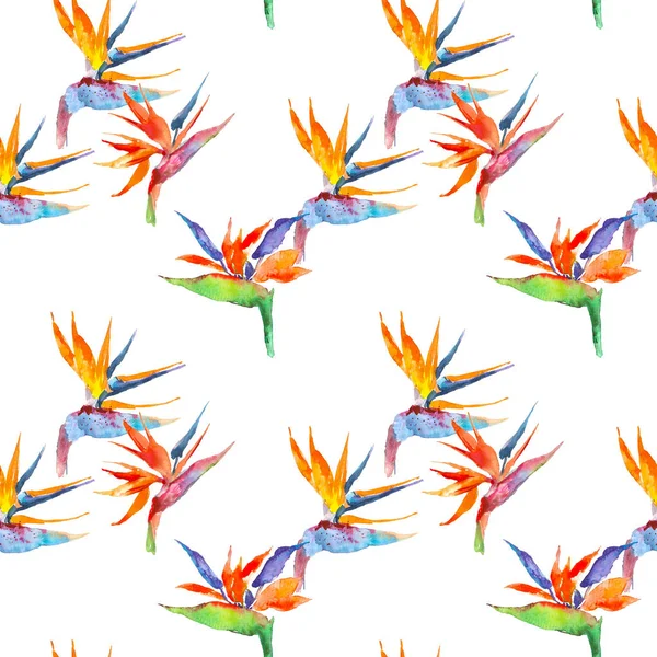 Modèle sans couture de strelitzia plante tropicale. Aquarelle dessinée à la main fleurs et feuilles. Conception pour invitation, mariage ou cartes de vœux, vêtements, impression. Concept de fleur. Concept tropical — Photo