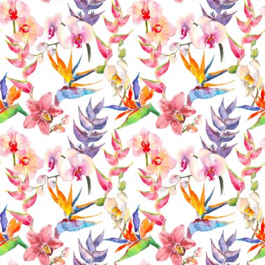 Trendy basit çiçek desenli. Çiçekler calathea, STERLİÇYA, orkide. Tropikal orman yazdırma. Arka plan tekrarlayan Tekstil, duvar kağıdı, yüzey, yaz dekorasyon, posterler, davet için. Tropikal