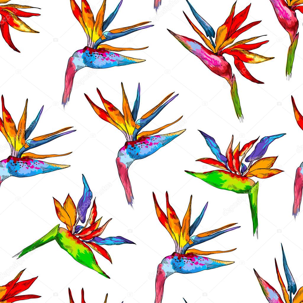 Seamless pattern of colorful strelitzia collection. Vector exotic flowers of a paradise bird isolated on white background. Repeating background for textile, wallpaper, surface, summer decoration