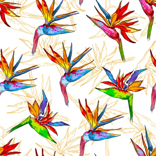 Padrão sem costura de coleção strelitzia colorido. Flores exóticas vetoriais de um pássaro paradisíaco isolado em fundo branco. Modelo para pano, cartaz, design de embalagem, web design. Conceito tropical — Vetor de Stock