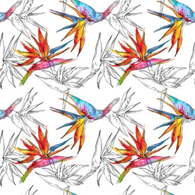 Dikişsiz desen STERLİÇYA tropikal bitki. Suluboya elle çizilmiş çiçek ve yaprakları. Tasarım davetiye, düğün veya tebrik kartları, giyim, yazdırma için. Çiçek kavramı. Tropikal kavramı