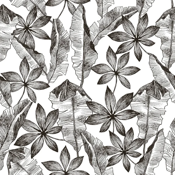 Plantes tropicales floral motif jungle sans couture. Imprimer fond vectoriel de la mode papier peint d'été feuilles de banane de palmier dans le style gris noir et blanc — Image vectorielle