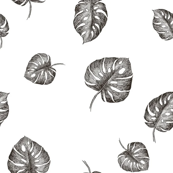Plantas tropicales patrón de selva sin costura floral. Imprimir vector fondo de moda verano fondo de pantalla hojas monstera en estilo gris blanco y negro — Vector de stock