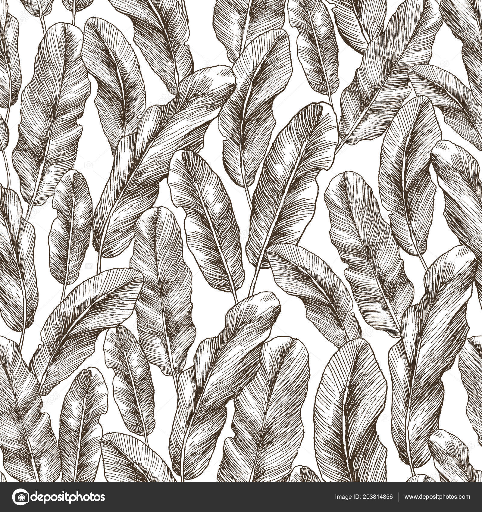 Banana Leaf Wallpaper Black Background