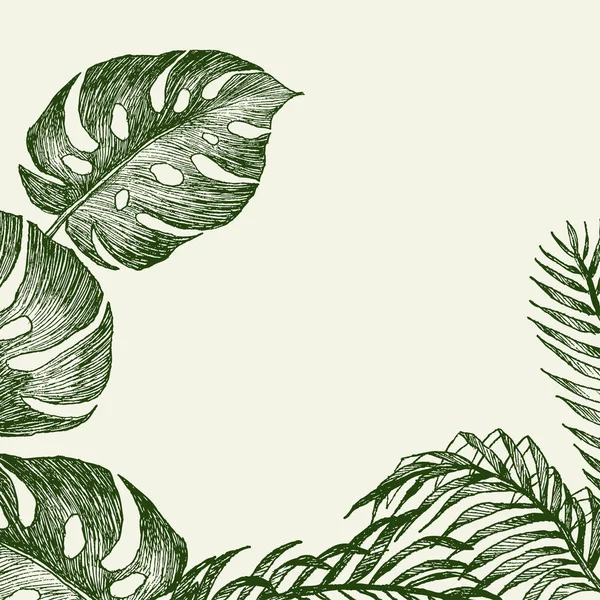 Ramas dibujadas a mano y hojas de plantas tropicales. Monstera verde y hojas de palma alrededor del lugar para el texto. Alta ilustración botánica detallada — Archivo Imágenes Vectoriales