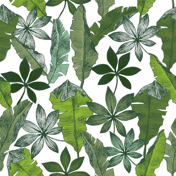 Plantas tropicales patrón de selva sin costura floral. Imprimir vector de fondo de la moda de verano fondo de pantalla hojas de plátano palma en líneas negras y estilo de color verde — Archivo Imágenes Vectoriales