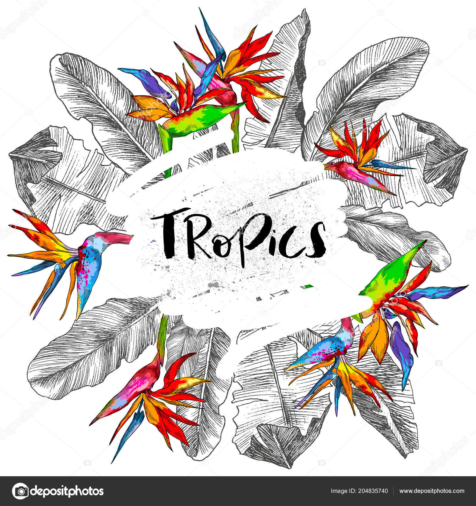 Feuilles De Palmier Tropical Jungle Tour Illustration Avec