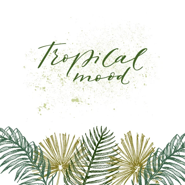 Ilustração vetorial. Plantas tropicais, folhas exóticas, palmeira areca, botânica, flora. Fronteira tropical, lugar para o seu texto. Fundo branco isolado. Vintage mão desenhada ilustração botânica — Vetor de Stock