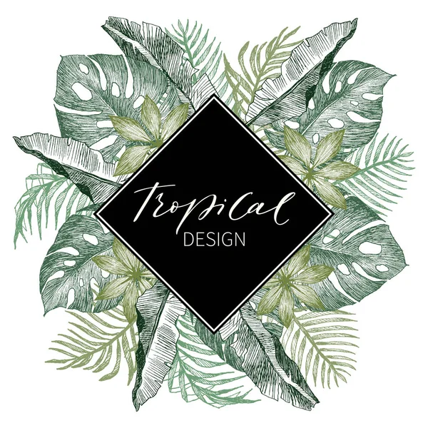 Folhas de palma tropicais. Selva ilustração redonda com monstera, folhas de coco. Modelo de design. Esboço botânico detalhado alto com lugar para texto. Ilustração vetorial — Vetor de Stock