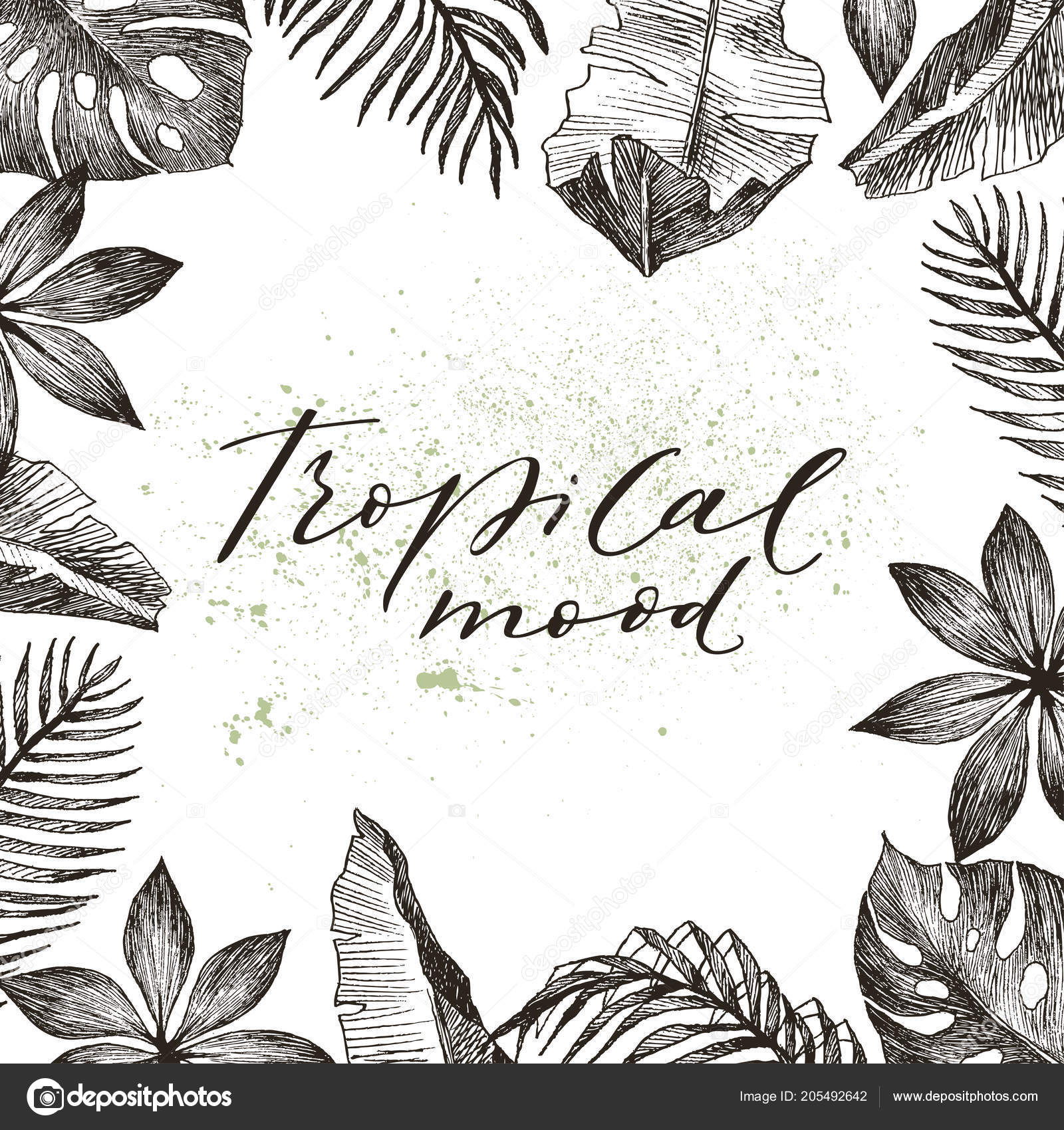 Tropical leaves frame. Summer Tropical palm tree on white background with  space for text. Summer mood, tropical background blank. Top view. Vector  illustration. Stock Vector