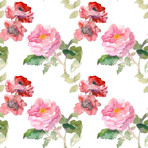 Χωρίς ραφή πρότυπο του κόκκινο τριαντάφυλλο λουλούδι στον κήπο. Ακουαρέλα floral εικονογράφηση. Βοτανική διακοσμητικό στοιχείο. Έννοια των λουλουδιών. Botanica έννοια. — Φωτογραφία Αρχείου