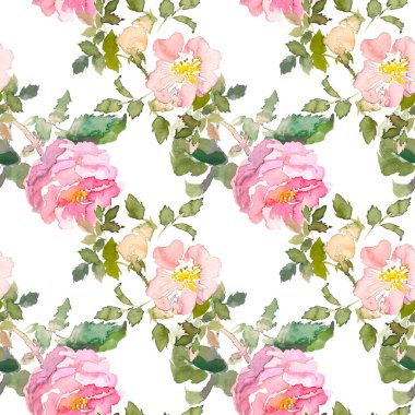 Dikişsiz desen yaz bahçe sarı ve pembe gül çiçek. Suluboya çiçek illüstrasyon. Botanik dekoratif unsur. Çiçek kavramı. Botanica kavramı.