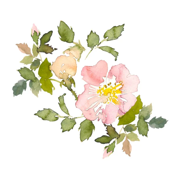 Букет с розовыми розами и зелеными листьями на белом фоне. Акварель романтический сад цветы скетч. Шаблон карточки с сообщением Summer . — стоковое фото