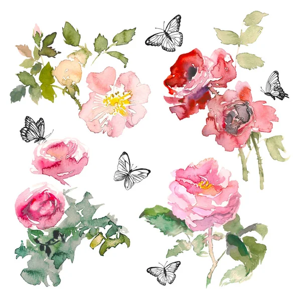 水彩元素的花园玫瑰和绿叶与蝴蝶在白色的背景。水彩浪漫花园花卉素描。卡片模板与消息夏天. — 图库照片