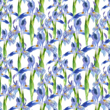 Dikişsiz desen suluboya mavi iris çiçeği. Elle çizilmiş illüstrasyon kroki tarzı tebrik kartları, davetiyeler ve diğer yazdırma projeleri için.