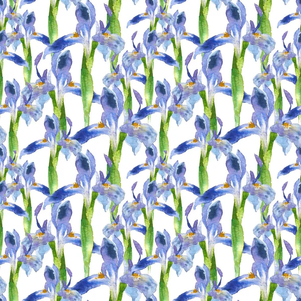 Wzór z akwarela niebieski irys kwiat. Ilustracja w styl szkic kartki, zaproszenia i inne projekty do druku. — Zdjęcie stockowe